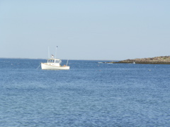 SANY0420.JPG