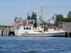 SANY0413.JPG