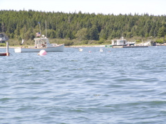 SANY0411.JPG