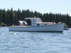 SANY0410.JPG