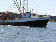 SANY0407.JPG