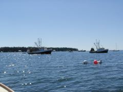 SANY0406.JPG