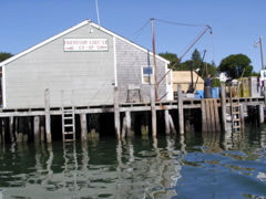 SANY0403.JPG