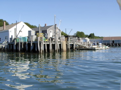 SANY0402.JPG
