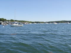 SANY0401.JPG