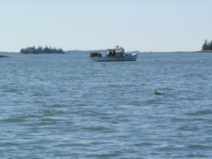 SANY0396.JPG
