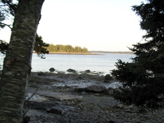 SANY0392.JPG