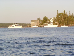 SANY0388.JPG