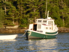 SANY0386.JPG