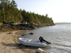 SANY0383.JPG