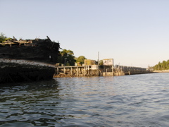 SANY0380.JPG