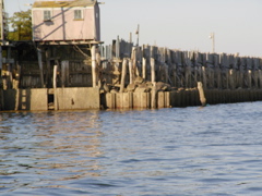 SANY0379.JPG