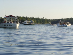 SANY0378.JPG