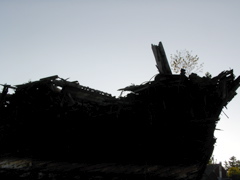 SANY0376.JPG