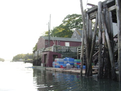 SANY0371.JPG