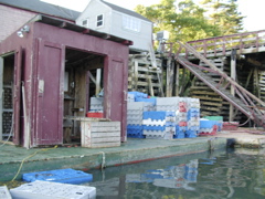 SANY0370.JPG