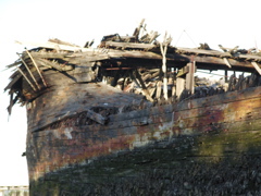 SANY0369.JPG