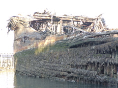 SANY0368.JPG