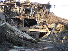 SANY0367.JPG