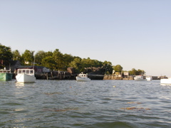 SANY0364.JPG
